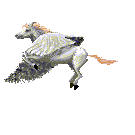 flying pegasus